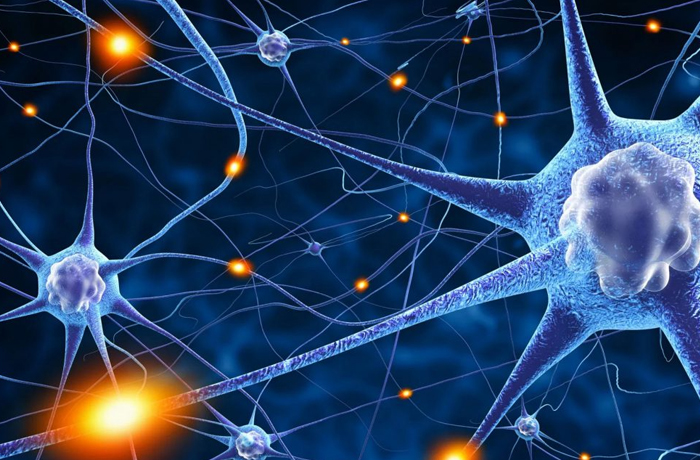 Oddział Neurologiczny zdj 2